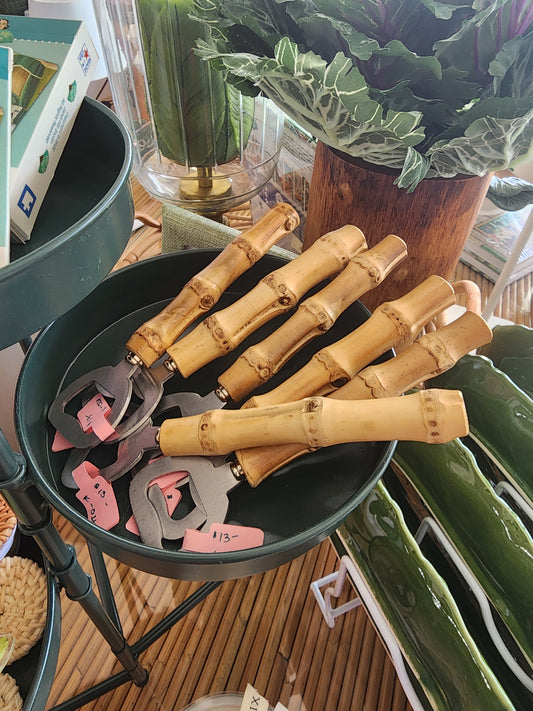 Bamboo Bottle Opener
