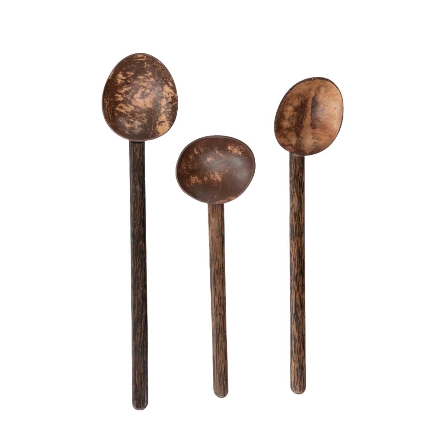 Coconut Shell + Mango Spoons - Set of Three