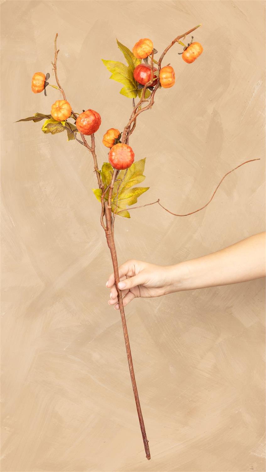 Pumpkin Branch