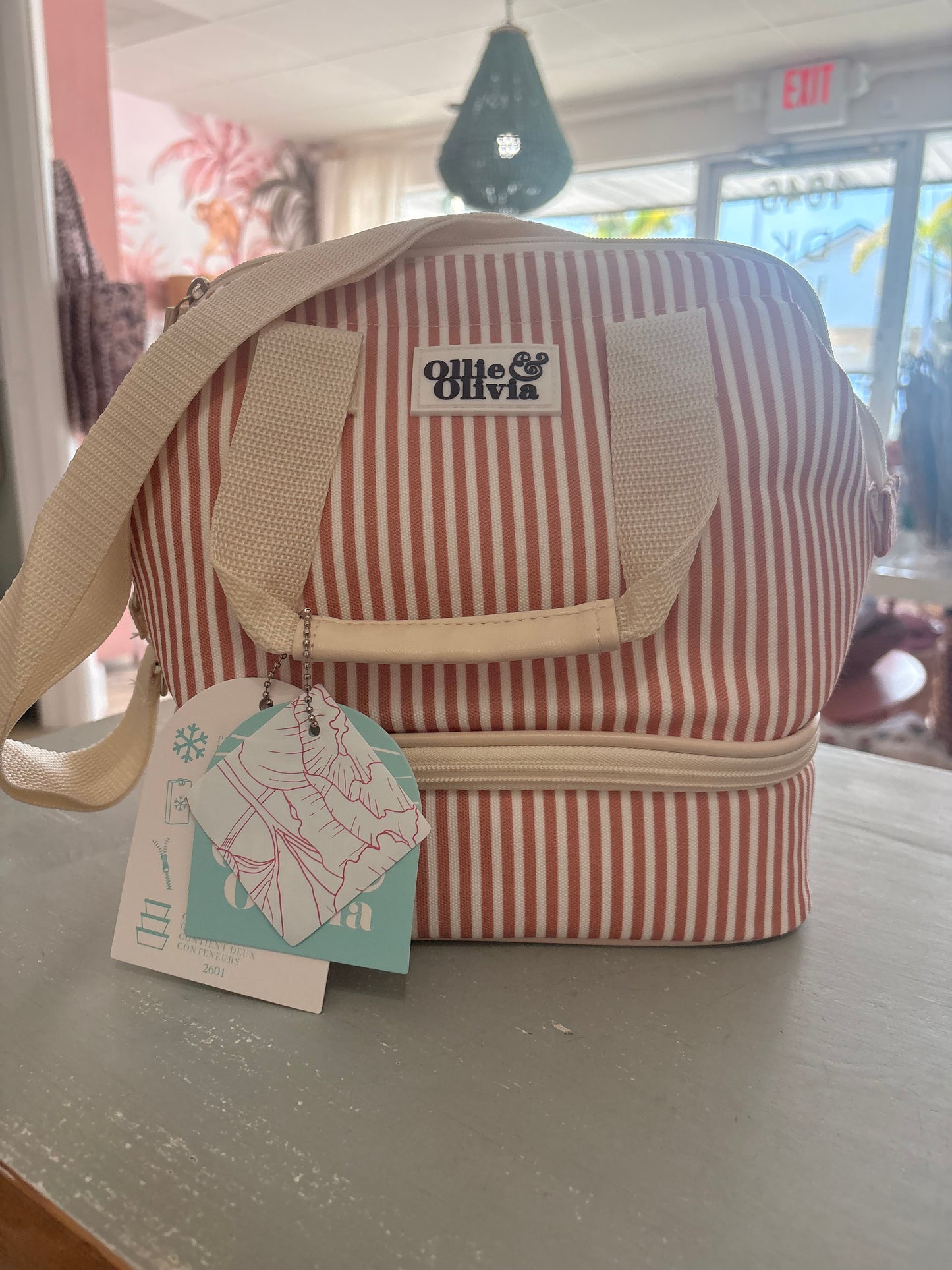 Ollie + Olivia Cooler / Lunch Tote
