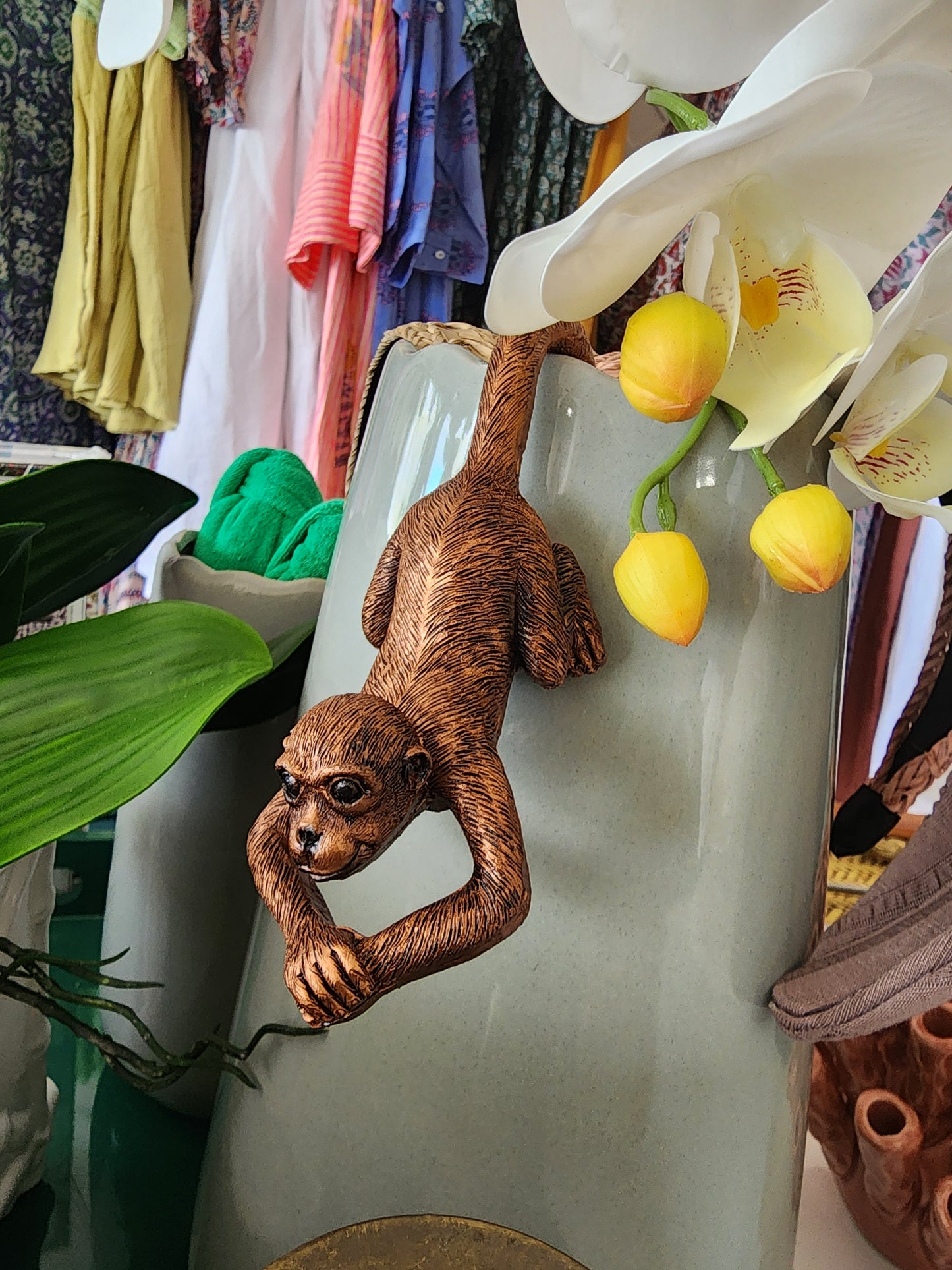 Garden Monkeys