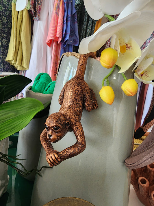 Garden Monkeys