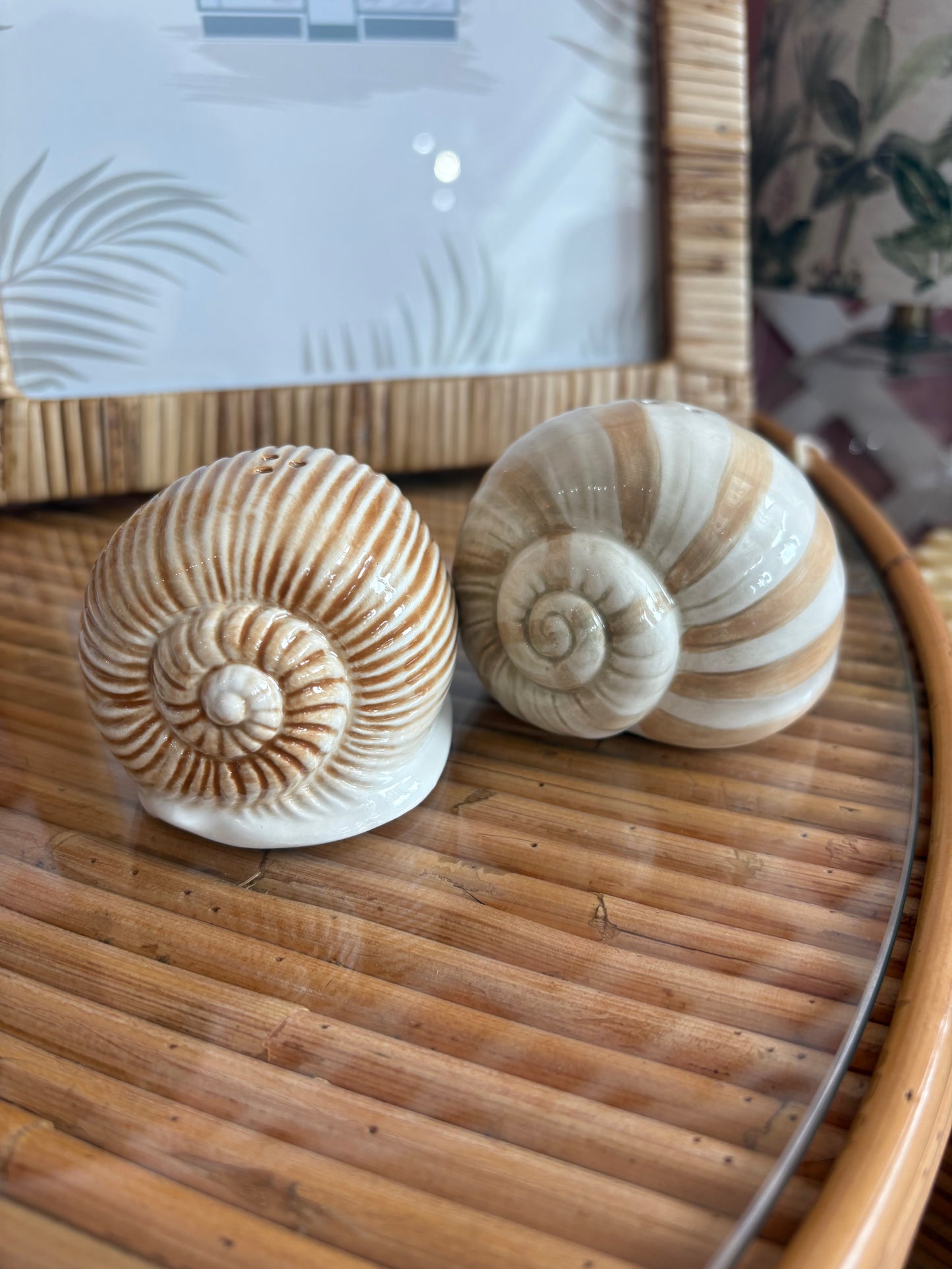 Seashell Salt + Pepper Shakers